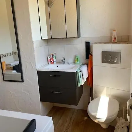 Apartment Uber Den Dächern: Aussichts-wohnung Mit Rheinblick Und Sport-pool *