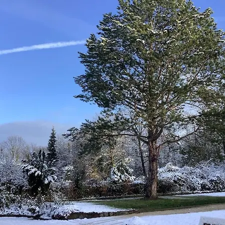 Ueber Den Daechern Von - Aussichts-wohnung Naturpark Rheinblick, Ruhig, Zentrumsnah, Sport-pool Lejlighed