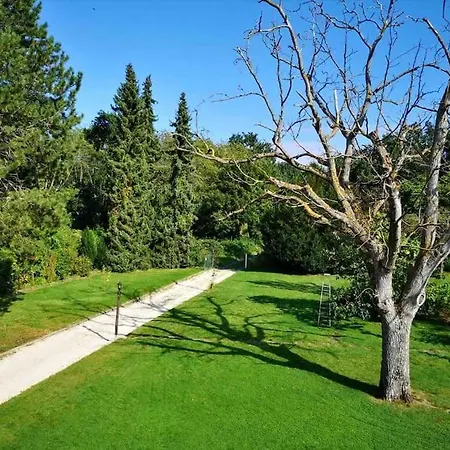 über Den Dächern Von - Aussichts-wohnung Naturpark Rheinblick, Ruhig, Zentrumsnah, Sport-pool *