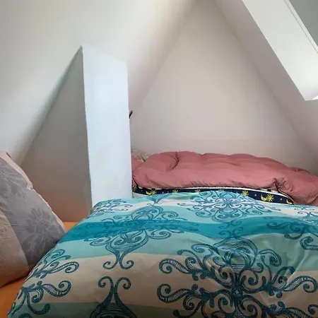 Apartment Uber Den Dächern: Aussichts-wohnung Mit Rheinblick Und Sport-pool Koblenz (Rhineland-Palatinate)