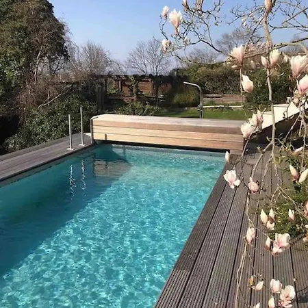 Uber Den Dächern: Aussichts-wohnung Mit Rheinblick Und Sport-pool Apartment