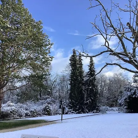 Ueber Den Daechern Von - Aussichts-wohnung Naturpark Rheinblick, Ruhig, Zentrumsnah, Sport-pool *