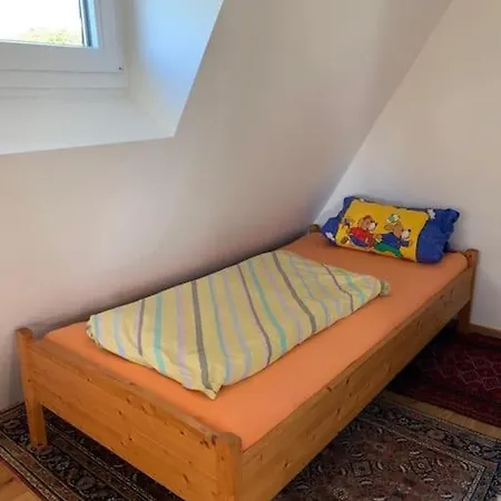 Ueber Den Daechern Von - Aussichts-wohnung Naturpark Rheinblick, Ruhig, Zentrumsnah, Sport-pool Apartament *