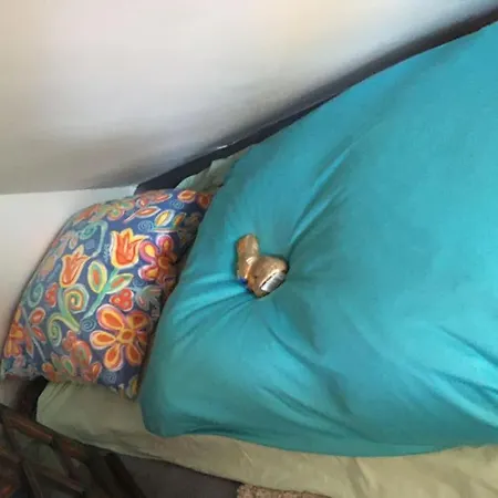 Ueber Den Daechern Von - Aussichts-wohnung Naturpark Rheinblick, Ruhig, Zentrumsnah, Sport-pool Apartament Koblencja