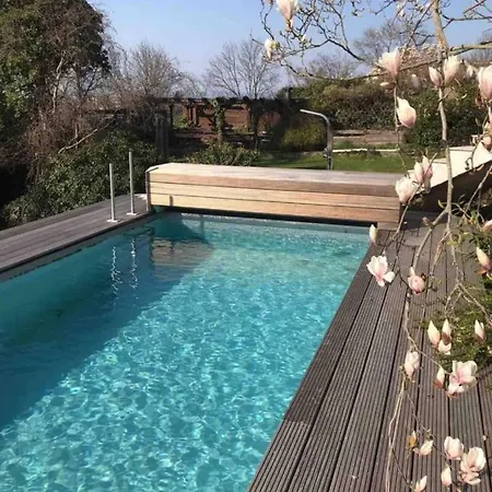 Ueber Den Daechern Von - Aussichts-wohnung Naturpark Rheinblick, Ruhig, Zentrumsnah, Sport-pool Apartament *