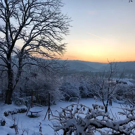 Ueber Den Daechern Von - Aussichts-wohnung Naturpark Rheinblick, Ruhig, Zentrumsnah, Sport-pool Appartement Koblenz (Rhineland-Palatinate)