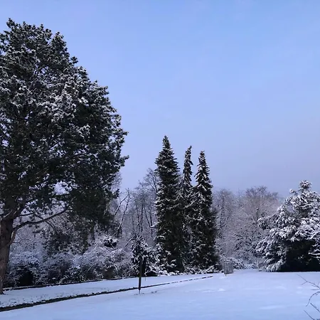 Ueber Den Daechern Von - Aussichts-wohnung Naturpark Rheinblick, Ruhig, Zentrumsnah, Sport-pool * Koblencja