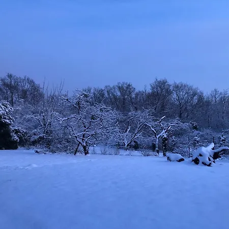 Lejlighed Ueber Den Daechern Von - Aussichts-wohnung Naturpark Rheinblick, Ruhig, Zentrumsnah, Sport-pool
