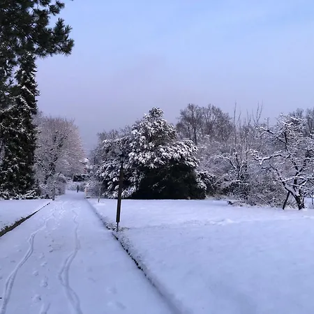 Ueber Den Daechern Von - Aussichts-wohnung Naturpark Rheinblick, Ruhig, Zentrumsnah, Sport-pool Appartement *