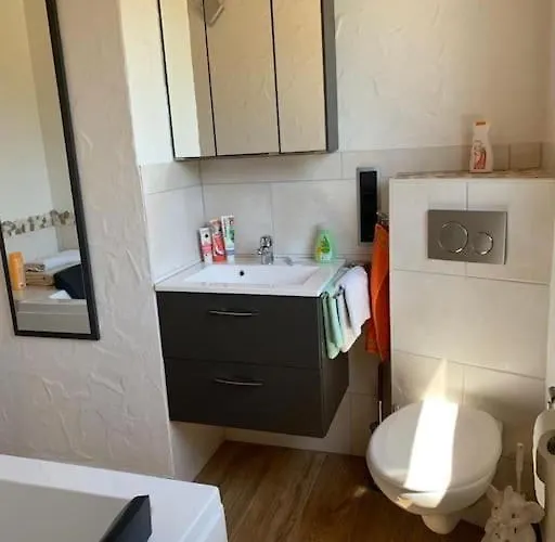 Apartmán Ueber Den Daechern Von - Aussichts-wohnung Naturpark Rheinblick, Ruhig, Zentrumsnah, Sport-pool *