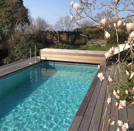 Ueber Den Daechern Von - Aussichts-wohnung Naturpark Rheinblick, Ruhig, Zentrumsnah, Sport-pool Apartmán