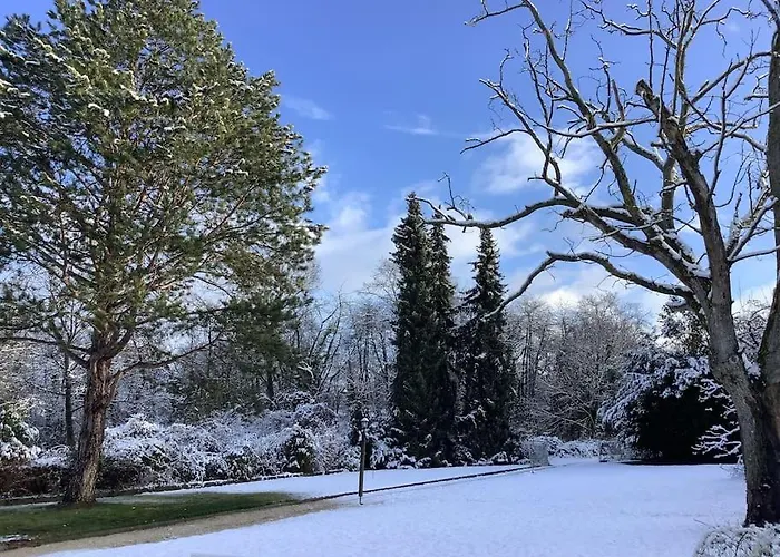 Ueber Den Daechern Von - Aussichts-wohnung Naturpark Rheinblick, Ruhig, Zentrumsnah, Sport-pool *