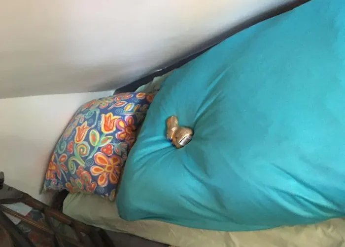 Ueber Den Daechern Von - Aussichts-wohnung Naturpark Rheinblick, Ruhig, Zentrumsnah, Sport-pool Apartmán Koblenc