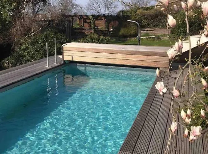 Ueber Den Daechern Von - Aussichts-wohnung Naturpark Rheinblick, Ruhig, Zentrumsnah, Sport-pool Apartmán *