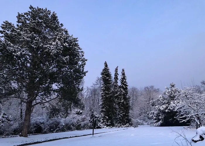 Ueber Den Daechern Von - Aussichts-wohnung Naturpark Rheinblick, Ruhig, Zentrumsnah, Sport-pool * Koblenc