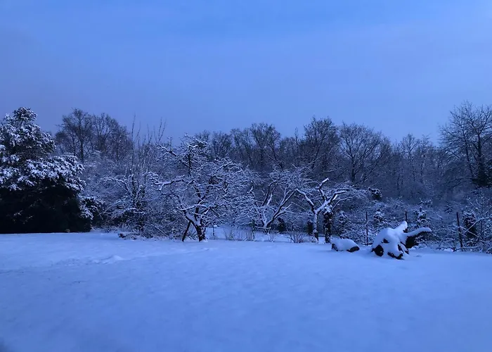 Apartmán Ueber Den Daechern Von - Aussichts-wohnung Naturpark Rheinblick, Ruhig, Zentrumsnah, Sport-pool